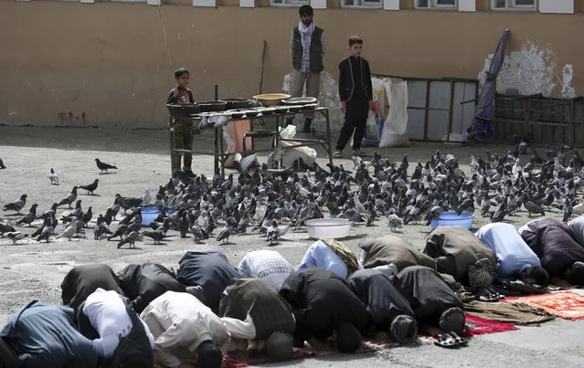 People attend Eid al-Fitr prayers outside of Shah-e-Dushamshera mosque in Kabul, Afghanistan, Friday, June 15, 2018. Taliban, an insurgent group who fight against NATO and Afghanistan's government, announced that they will start a 3-day ceasefire, starting in the first day of Eid al-Fitr. (Photo by Massoud Hossaini/AP Photo)