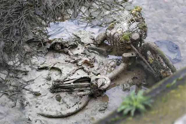 An abandoned mud covered Velib self-service public bicycle appears after the draining of the Canal Saint-Martin in Paris, France, January 5, 2016. (Photo by Charles Platiau/Reuters)