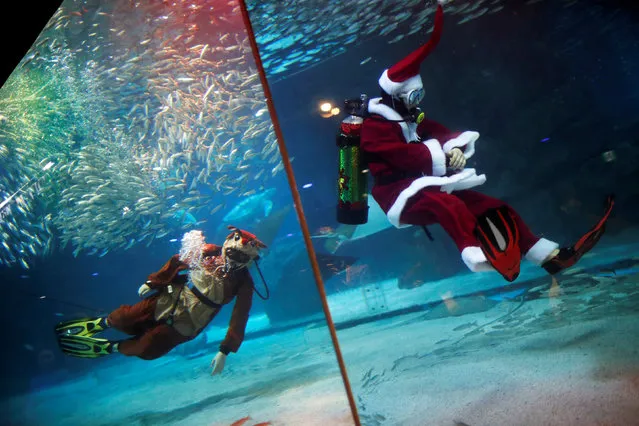Divers dressed as Santa Claus and Rudolph the Red-Nosed Reindeer swim with sardines during a promotional event for Christmas in Seoul, South Korea, December 7, 2018. (Photo by Kim Hong-Ji/Reuters)