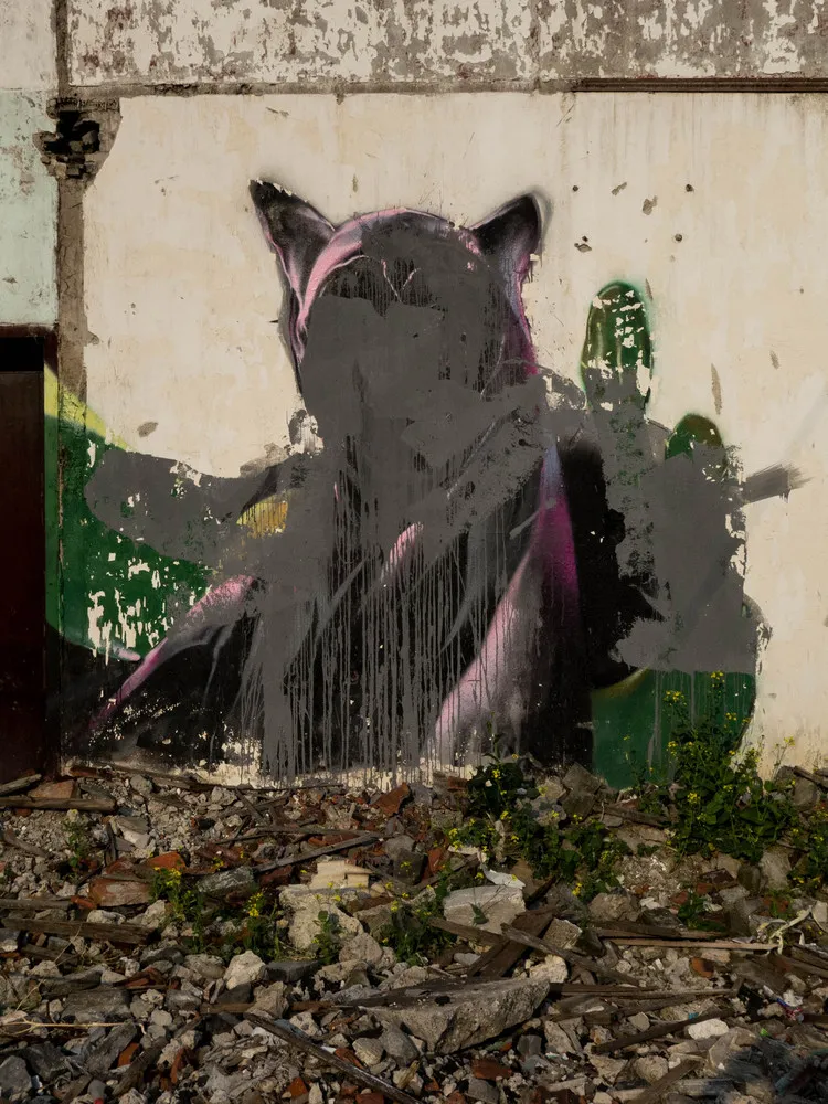 Changing Face of Urban China