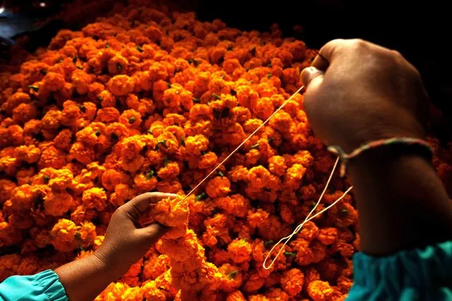 A woman strings marigold flowers together to make a garland to sell for the upcoming Tihar festival, on the outskirts of Kathmandu, Nepal, Friday, November 10, 2023. Marigold garlands are used as offerings to Hindu deities as well as for decorative purposes during Tihar festival. (Photo by Niranjan Shrestha/AP Photo)