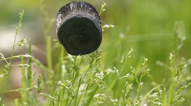 Carbon Aerogel The New Lightest Material