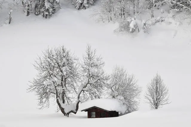 A litte cottage is covered with snow near Filzmoos, Austria, 08 January 2018. Media reports state that many regions in Austria, Germany, Switzerland and northern Italy have been affected by heavy snowfalls in the last days. About 12,000 tourists have been cut off in Austrian ski area due to weather conditions and avalanche risk. Meteorologists predict more significant snowalls in upcoming days in Germany, Austria and Switzerland. (Photo by Christian Bruna/EPA/EFE)