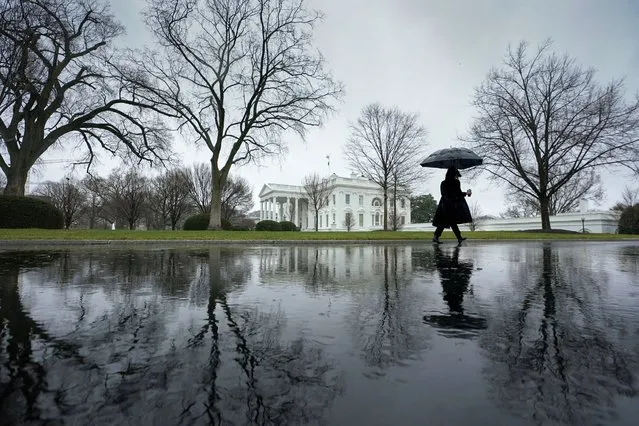 A reporter, arriving for work, walks up the driveway toward the White House on a rain-soaked morning in Washington, U.S., January 9, 2024. (Photo by Kevin Lamarque/Reuters)