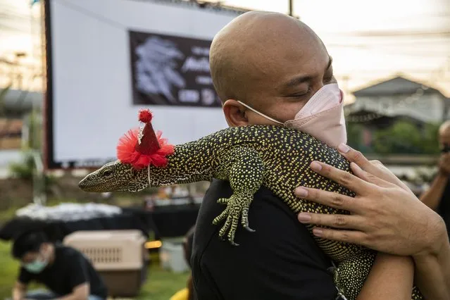 A man hugs his monitor lizard who is wearing a Christmas hat on December 25, 2021 in Bangkok, Thailand. Monitor lizard enthusiasts gather on Christmas Day for a garden party at the Somtum Khun Daeng restaurant and cafe to share their appreciation for their monitor lizards. The event for owners of this controversial Thai pet included important facts and information about monitor lizard care as well as prizes for those who brought their lizard with them. (Photo by Lauren DeCicca/Getty Images)