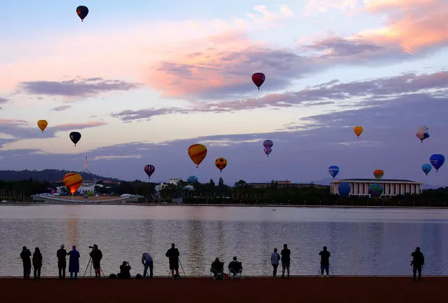 Members of the public watch as balloons participating in the Canberra Balloon Festival fly above the Australian capital city, March 12, 2017. (Photo by David Gray/Reuters)