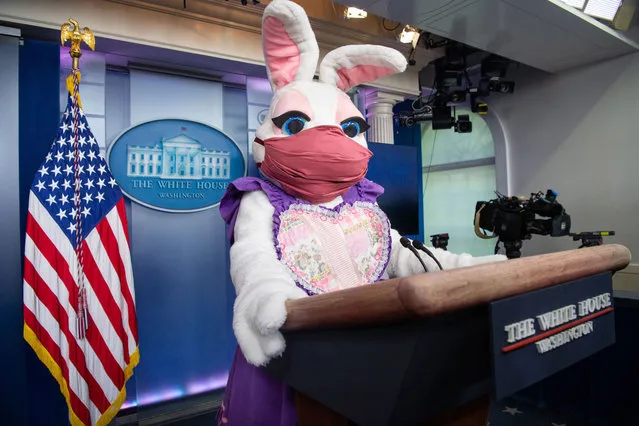 The Easter Bunny makes a surprise appearance in the Brady Press Briefing Room of the White House in Washington, DC, April 5, 2021. (Photo by Saul Loeb/AFP Photo)