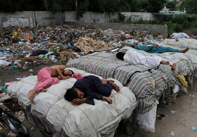 Homeless Pakistani youngsters sleep on the push-carts along roadside on the early morning on Wednesday, July 8, 2015 in Karachi, Pakistan. (Photo by Fareed Khan/AP Photo)