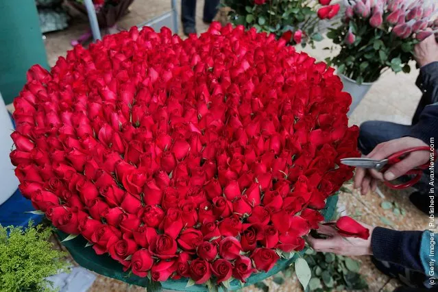 An employee arranges roses at a flower shop on Valentine's Day