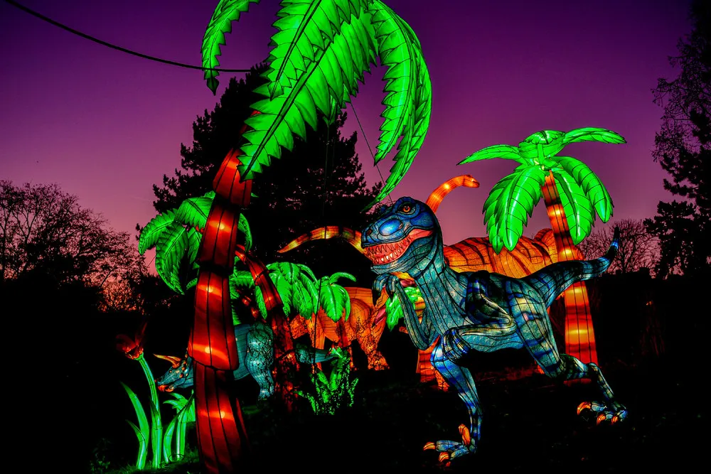 China Light Festival at Cologne Zoo