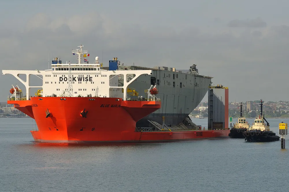 Blue Marlin: The Giant Ship