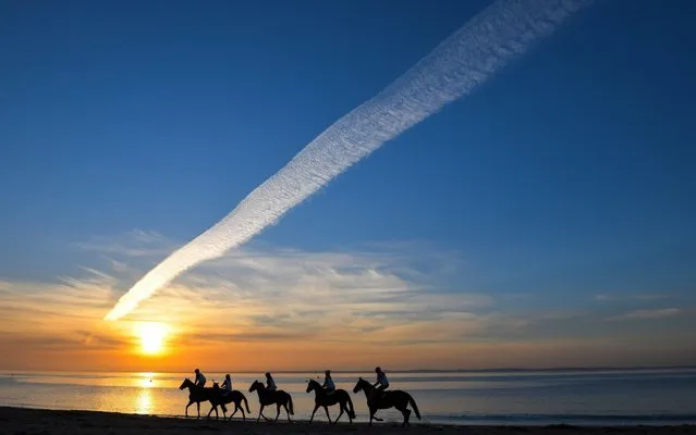 Horses from the Kevin Corstens stable are seen during a trackwork session at Balnarring Beach in Balnarring, Australia, 20 December 2019. The temperature is expected to be above forty degrees in Melbourne. (Photo by Vince Caligiuri/EPA/EFE/Rex Features/Shutterstock)