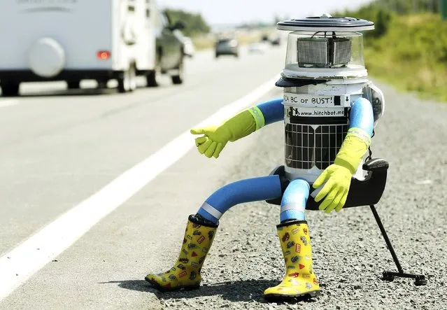 The anthropomorphic robot named hitchBOT sits on the shoulder of Highway 102 to begin its 6000 kilometer cross country journey outside of Halifax, Nova Scotia, July 27, 2014. The hitch hiking robot is part of a social experiment to see if drivers will pick up and drop off the robot in one piece to an art gallery in Victoria, British Columbia. (Photo by Paul Darrow/Reuters)