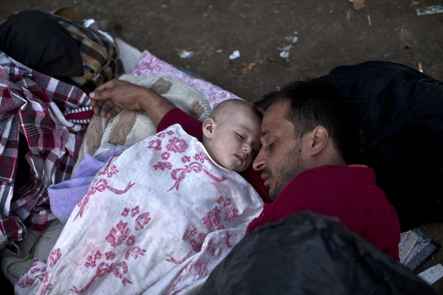 Migrants from Syria sleep at a park in Belgrade, Serbia, Thursday, August 27, 2015. (Photo by Marko Drobnjakovic/AP Photo)