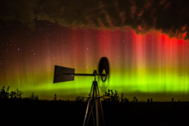 The stunning aurora in Midwestern U.S.A., captured by photographer Randy Halverson in 2013. The stunning skies in Midwestern U.S.A. captured by photographer Randy Halverson. The videographer captured rare footage of the Milky Way, the elusive Northern Lights and raging night storms in some of the most isolated regions of the U.S.A. (Photo by Randy Halverson/Barcroft Media)