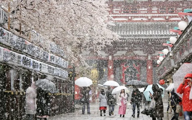 Out-of-season snow falls in Tokyo, Japan on March 29, 2020. Bad weather and the 'stay-at-home' request left Tokyo empty today. (Photo by Newscom/The Times)