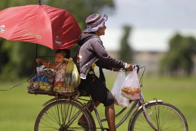 A Cambodian vendor, right, carries her child on a bicycle's back seat near a rice farm in Ang Tasom, west of Phnom Penh, Cambodia, Saturday, July 30, 2012. Cambodian farmers start to grow rice during the rainy season. (Photo by Heng Sinith/AP Photo)