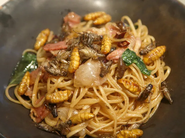In this Tuesday, September 12, 2017 photo, spaghetti with silkworm and cricket at Inspects in the Backyard restaurant, Bangkok, Thailand.  Tucking into insects is nothing new in Thailand, where street vendors pushing carts of fried crickets and buttery silkworms have long fed locals and adventurous tourists alike. But bugs are now fine-dining at the Bangkok bistro aiming to revolutionize views of nature’s least-loved creatures and what you can do with them. (Photo by Sakchai Lalit/AP Photo)