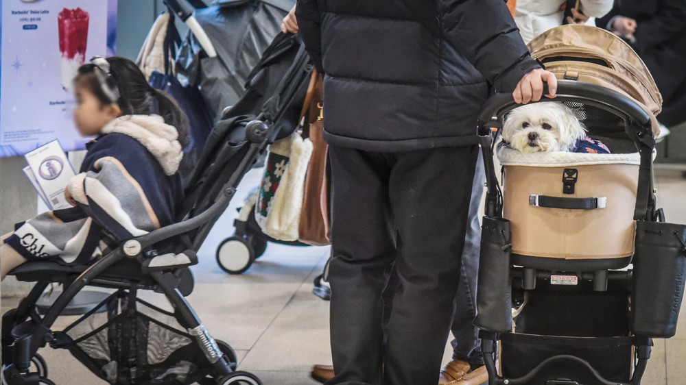 A Look at Life in South Korea