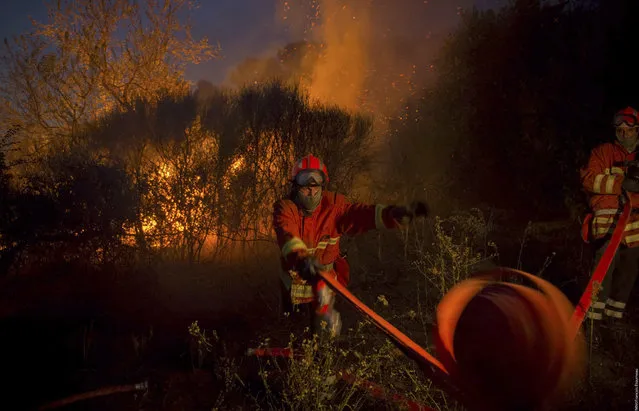 This photo provided by the Bataillon des Pompiers de Marseille (BMPM) shows firefighters trying to put out a fire near Marseille, southern France, Wednesday night August 10, 2016. Wind-whipped wildfires spared the French city of Marseille on Thursday but scorched through two southern towns, burning homes and at least one school and leaving hundreds of people evacuated. (Photo by Fran'ois Etourneau/ BMPM via AP Photo)