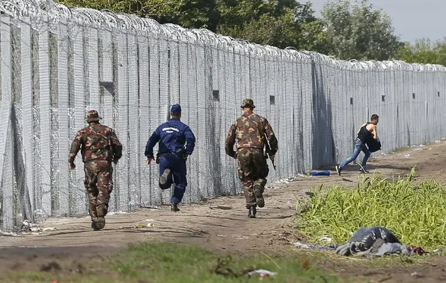 A migrant crosses the boarder fence as soldiers and police try to catch him clo to a migrant collection point in Roszke, Hungary September 12, 2015. (Photo by Laszlo Balogh/Reuters)