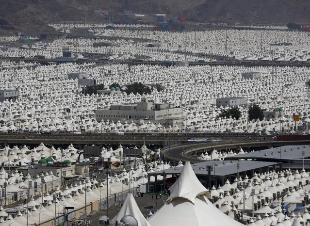 A view of the camp city at Mina, near the holy city of Mecca September 24, 2015. (Photo by Ahmad Masood/Reuters)