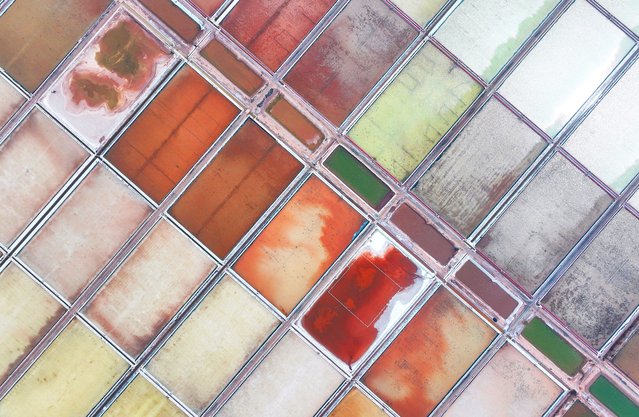 Aerial view of colorful salt fields of Guanxi Salt Field on April 7, 2025 in Lianyungang, Jiangsu Province of China. (Photo by Wang Jianmin/VCG via Getty Images)
