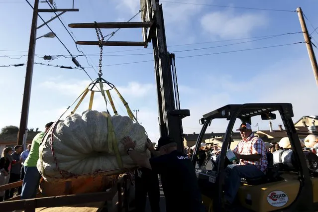 Workers use a forklift to move a pumpkin during the 42nd annual Safeway World Championship Pumpkin Weigh-off in Half Moon Bay, California October 12, 2015. (Photo by Stephen Lam/Reuters)