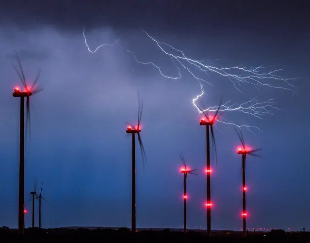 Lightning strikes close to wind turbines in a wind energy park during a thunderstorm near Sieversdorf, eastern Germany, on August 28, 2016. (Photo by Patrick Pleul/AFP Photo/DPA)