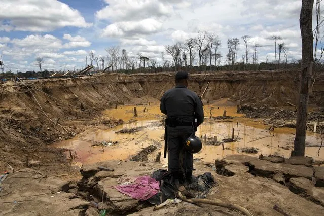 In this November 11, 2014 photo, a policeman stands before an abandoned crater created by gold mining, after police shutdown activity during an operation to eradicate illegal gold mining camps in the area known as La Pampa, in Peru's Madre de Dios region. (Photo by Rodrigo Abd/AP Photo)