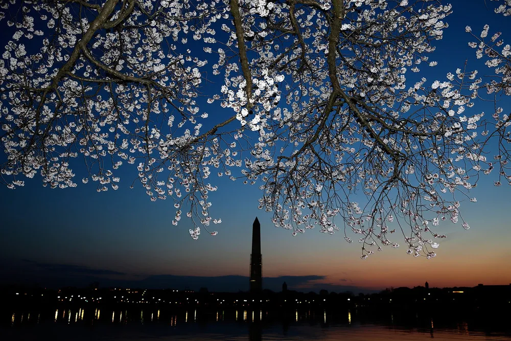 The Week in Pictures: April 6 – April 12, 2013 (93 Photos)