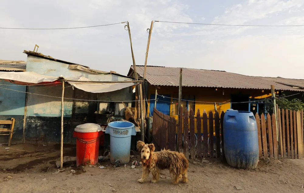 The Week in Pictures: December 5 – December 13, 2014. Part 6/7