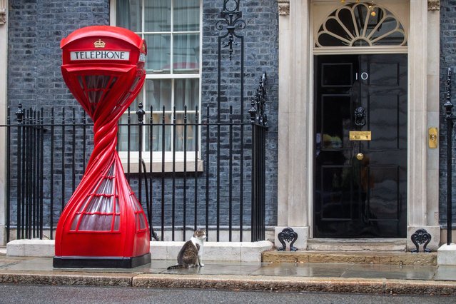 Larry the Cat is seen next to the twisted red phone box by artist Alex Chinneck at Downing Street as Prime Minister Starmer hosts prominent British influencers in Number 10 on July 31, 2025. The PM was hosting a reception for social media influencers who have a total of 250 million followers in 10 Downing Street. Guests included some actors and artists due to high profile social media presence. (Photo by Tayfun Salci/ZUMA Press Wire/Rex Features/Shutterstock)