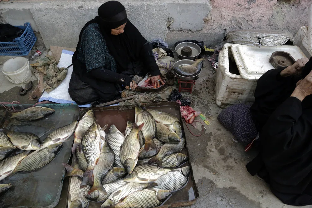 A Look at Life in Iraq