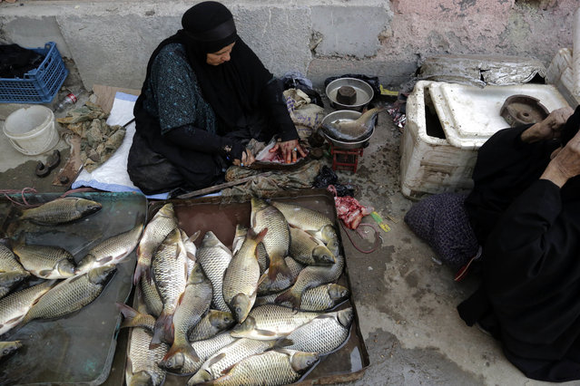 In this September 11, 2017 photo, women gut and sell fish at a market in central Chabaish, Iraq. In the largely agrarian society in Iraq’s vast wetlands, women make up a sizeable proportion of the workforce, fishing, raising buffalo and selling in local markets. (Photo by Susannah George/AP Photo)