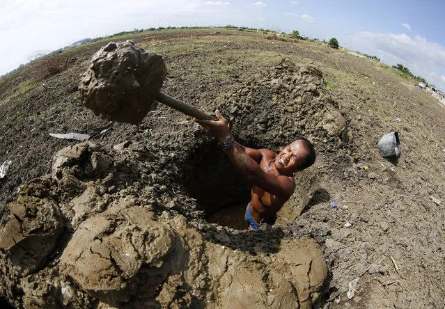 A photo taken with a super-wide angle lens of a Filipino farmer digging a whole on a dried-up portion of Laguna Lake to collect water for his plants in Taguig city, south of Manila, Philippines, Sunday, November 29, 2015. (Photo by Francis R. Malasig/EPA)