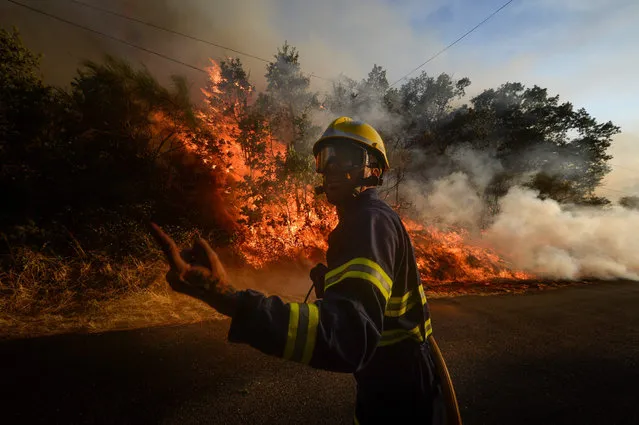 A firefighter reacts as a fire squad tries to extinguish a wildfire in the village of San Cristobal near Monterrey on July 29, 2020. (Photo by Miguel Riopa/AFP Photo)