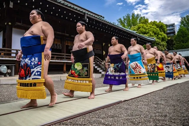 Sumo wrestlers attend the inner courtyard worship after the ceremonial sumo exhibition match “votive grand sumo tournament” at Yasukuni Shrine in Tokyo on April 17, 2023. (Photo by Philip Fong/AFP Photo)
