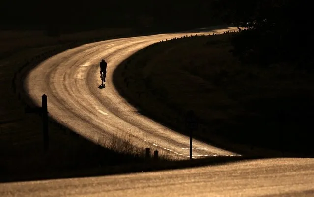 A cyclist trains in the early morning, as hot weather continues, in Richmond Park, London, Britain on June 10, 2023. (Photo by Toby Melville/Reuters)