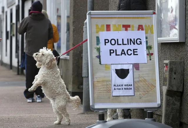 A dog tied up outside a polling station in Mintlaw, Scotland, Thursday May 6, 2021. Scots are heading to the polls to elect the next Scottish Government – though the coronavirus pandemic means it could be more than 48 hours before all the results are counted. (Photo by Andrew Milligan/PA Wire via AP Photo)