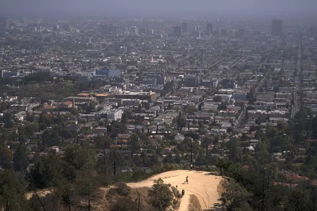 A jogger runs along a Griffith Park trail in Los Angeles, Monday, May 3, 2021. Los Angeles County is expected to move into the least-restrictive yellow tier this week, amid the coronavirus pandemic. (Photo by Jae C. Hong/AP Photo)