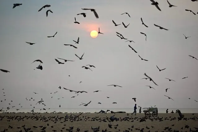 A flock of birds fly as people walk along Marina Beach at sunrise in Chennai on October 10, 2023. (Photo by R. Satish Babu/AFP Photo)