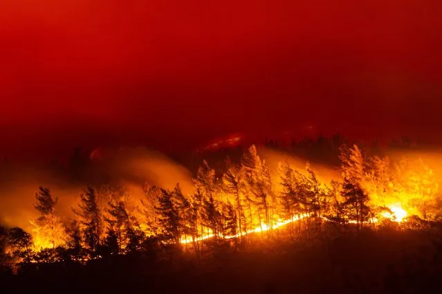 This picture shows flames rising from a forest burning in Akcayaka village in Milas area of the Mugla province, on August 6, 2021. In Turkey, at least eight people have been killed and dozens more hospitalised as the country struggles against its deadliest wildfires in decades. (Photo by Yasin Akgul/AFP Photo)