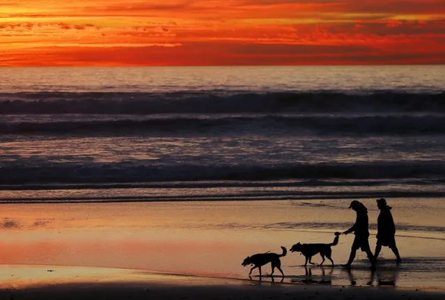 People walk their dogs along the beach after sunset in Cardiff, California January 27, 2016. (Photo by Mike Blake/Reuters)