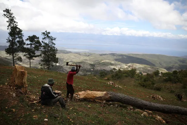 A man cuts a tree in the fields of Chapotin, with Boucan Ferdinand and the Dominican Republic in the background, on the trail that connects Boucan Ferdinand and Chapotin, Haiti, April 11, 2018. (Photo by Andres Martinez Casares/Reuters)