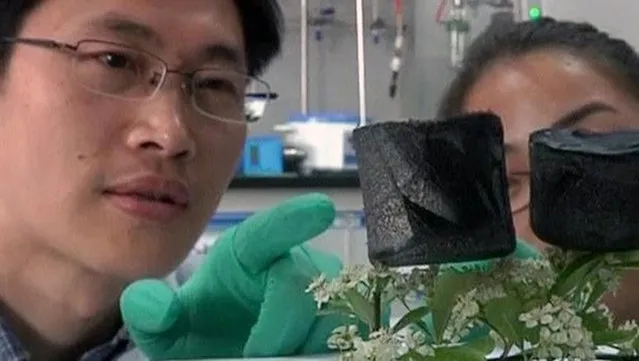 Carbon Aerogel The New Lightest Material