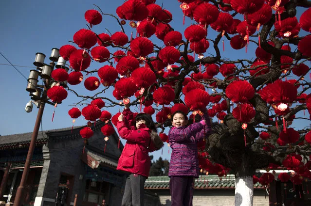 Chinese children pose for a photograph beside a lantern tree display ahead of the Lunar New Year in Beijing on January 24, 2017. The Lunar New Year, known locally as the Spring Festival, falls on January 28 this year and marks the Year of the Rooster in the Chinese calendar. (Photo by Fred Dufour/AFP Photo)