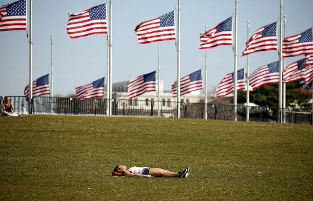 A woman sunbathes in front of the flags that circle the Washington Monument on an unseasonably warm day in Washington March 9, 2016. (Photo by Kevin Lamarque/Reuters)