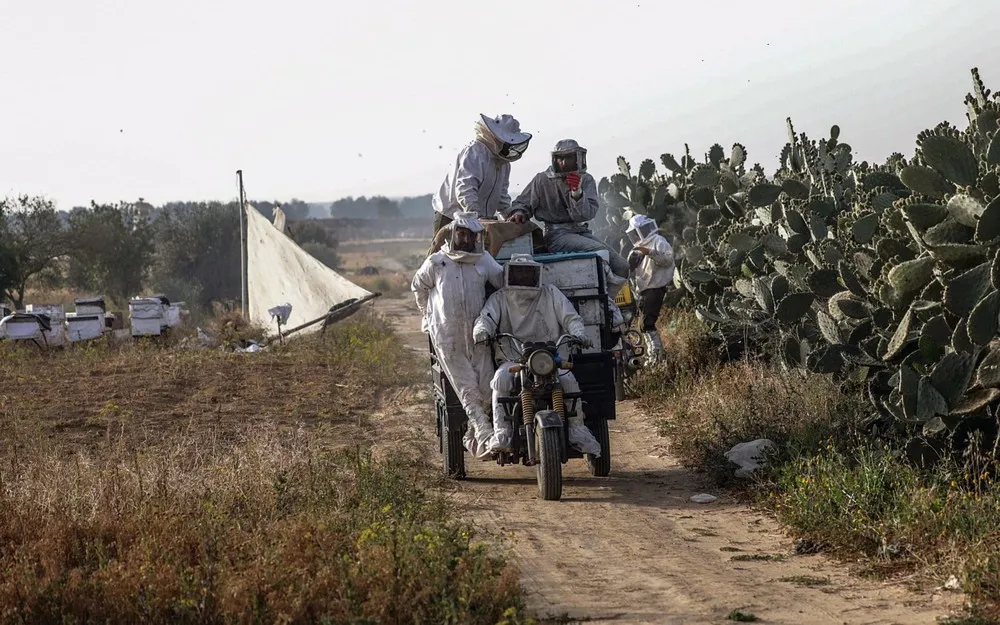 Palestinians Daily Life