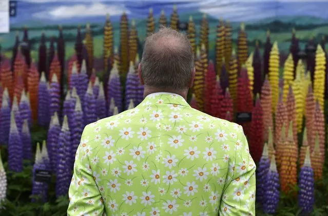 A visitor looks at a display of Lupins at the Royal Horticultural Soceity's Chelsea Flower Show in London, Britain, May 18, 2015. (Photo by Toby Melville/Reuters)